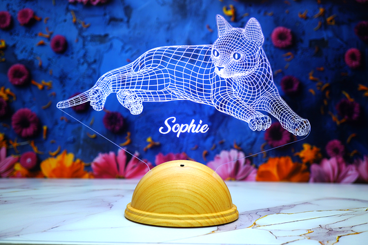 Cat Personalized 3D Led Lamp